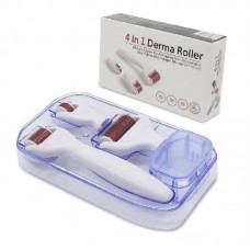 Σετ μεσοθεραπείας προσώπου - 4 σε 1 - Meso Roller - MR-668 - 764871