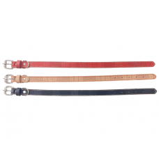 Περιλαίμιο - Κολάρο σκύλου - 3x56cm - 12pcs - 550196